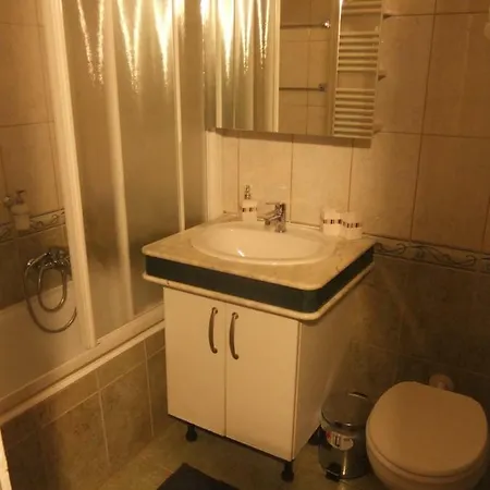 Apartment Chestnut In Downtown *
