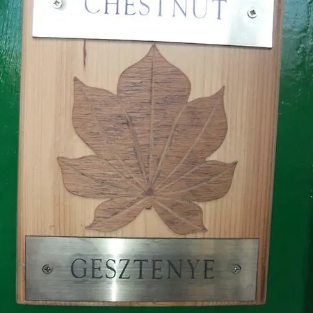 Chestnut In Downtown * Budapest